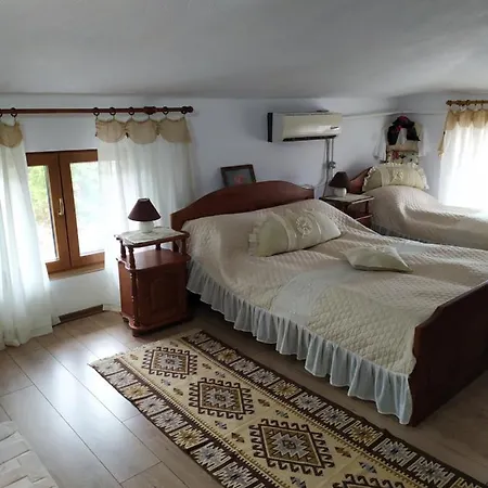 Gologanova House Maison d'hôtes 2*