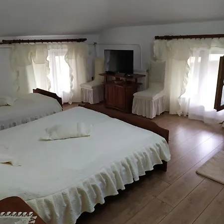 Πανσιόν Gologanova House Kalofer