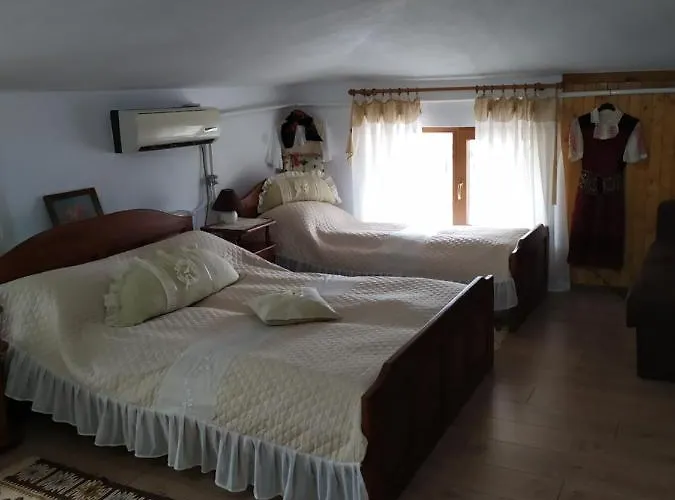 Gologanova House Casa de hóspedes